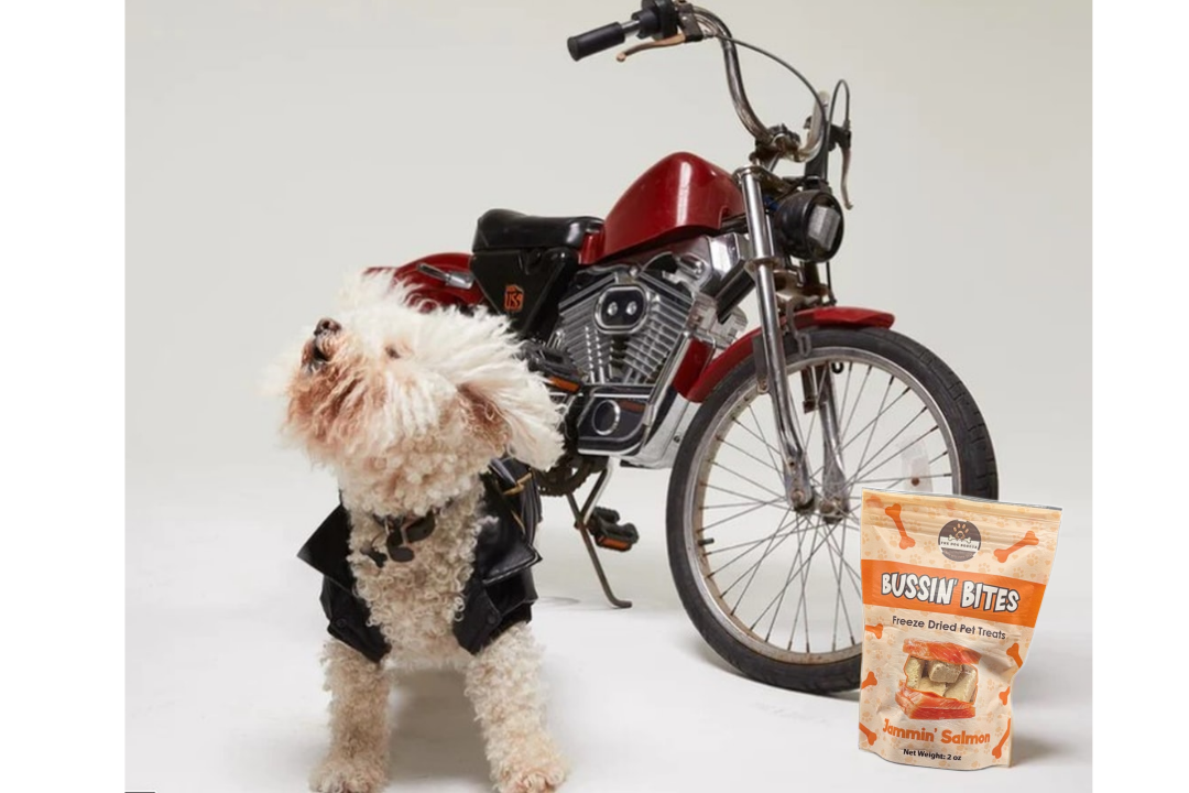 Single Ingredient, High Value Freeze-Dried Training Treats for Dogs & Cats - Salmon - Image 4