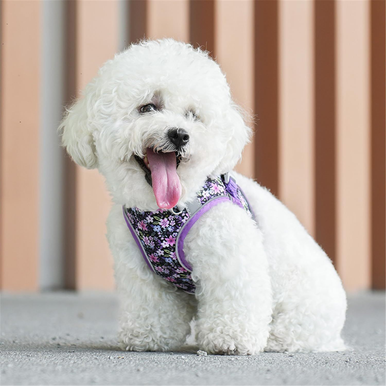 Step In Dog Harness No Pull Flower Adjustable Soft Mesh Padded Reflective Pet Vest Harness And Leash Set For Small Medium Dogs - Image 7