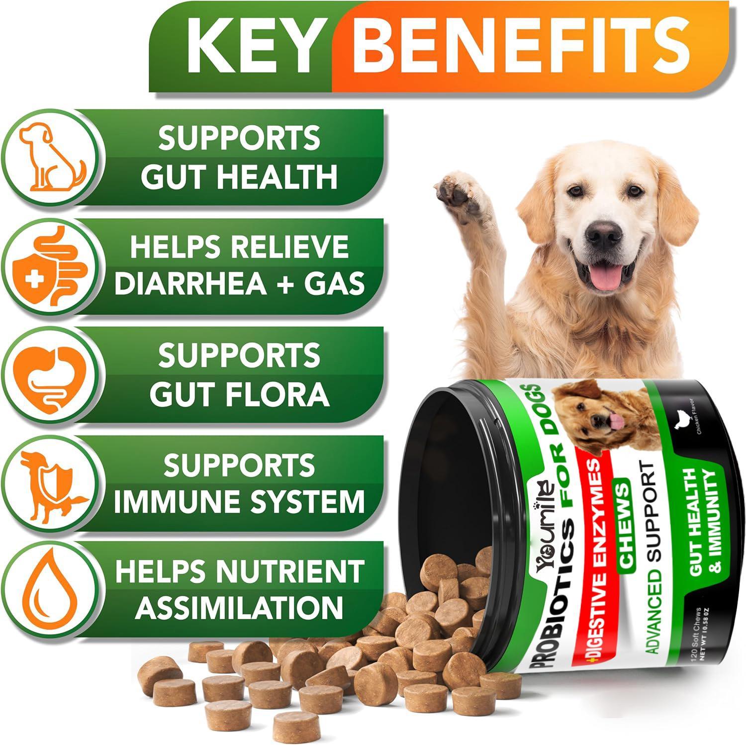 Youmile Probiotics For Dogs Soft Chews For Seasonal Allergies, Gut, And Digestive Health. Vet-Reviewed, Premium-Quality Ingredients - Supplements Dog Vitamin Hip And Joint Supplement - Image 9