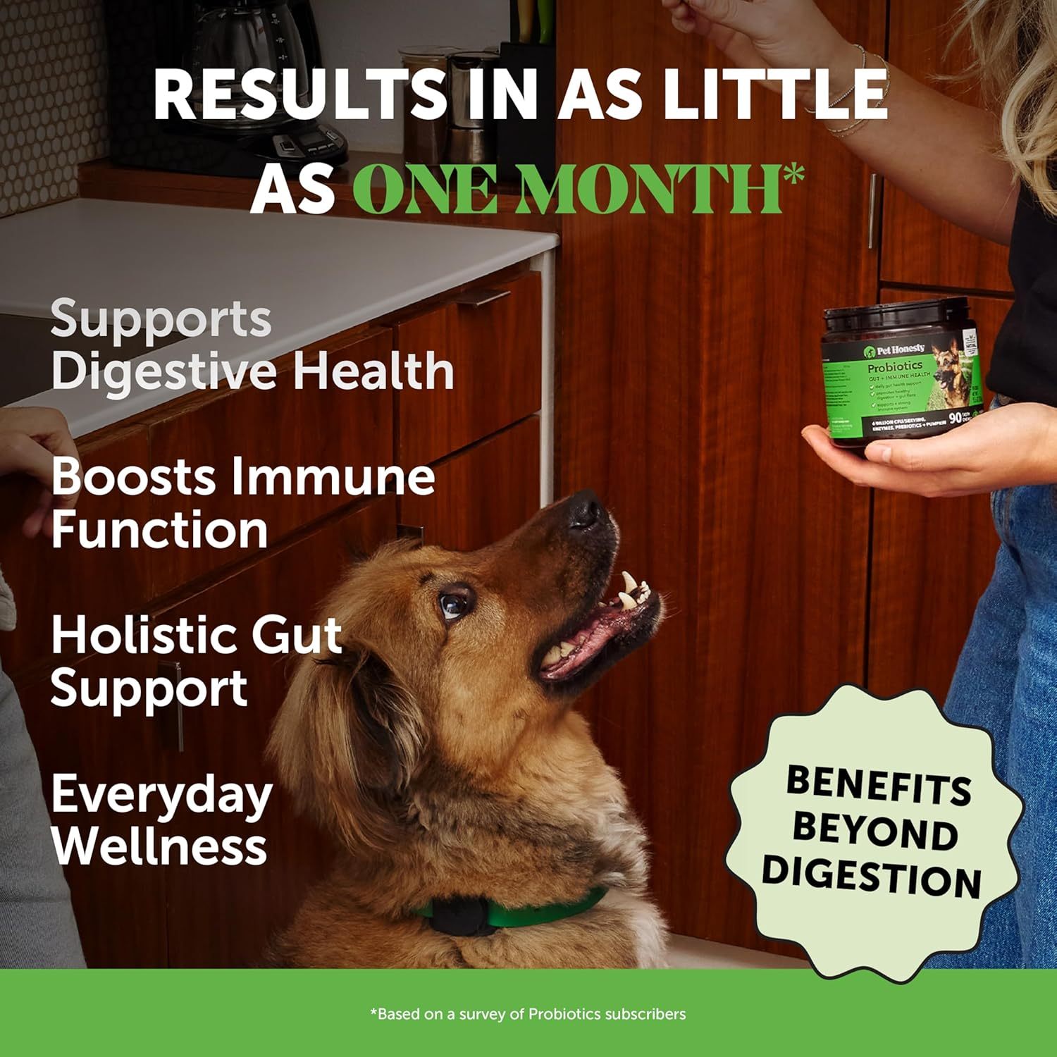 Youmile Probiotics For Dogs Soft Chews For Seasonal Allergies, Gut, And Digestive Health. Vet-Reviewed, Premium-Quality Ingredients - Supplements Dog Vitamin Hip And Joint Supplement - Image 5