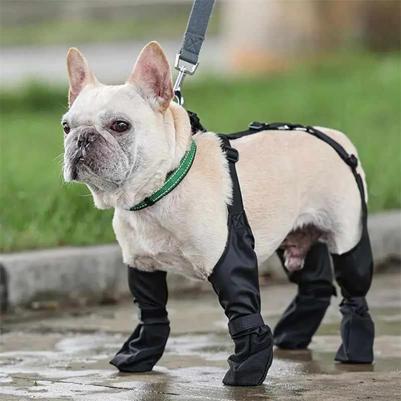 Waterproof Dog Shoes Adjustable Dog Boots Pet Breathbale Shoes For Outdoor Walking Soft French Dog Shoes Pets Paws Protector Pet Products - Image 6