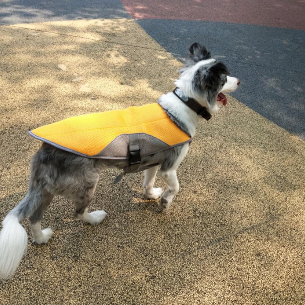 Summer dog cooling vest - Image 8