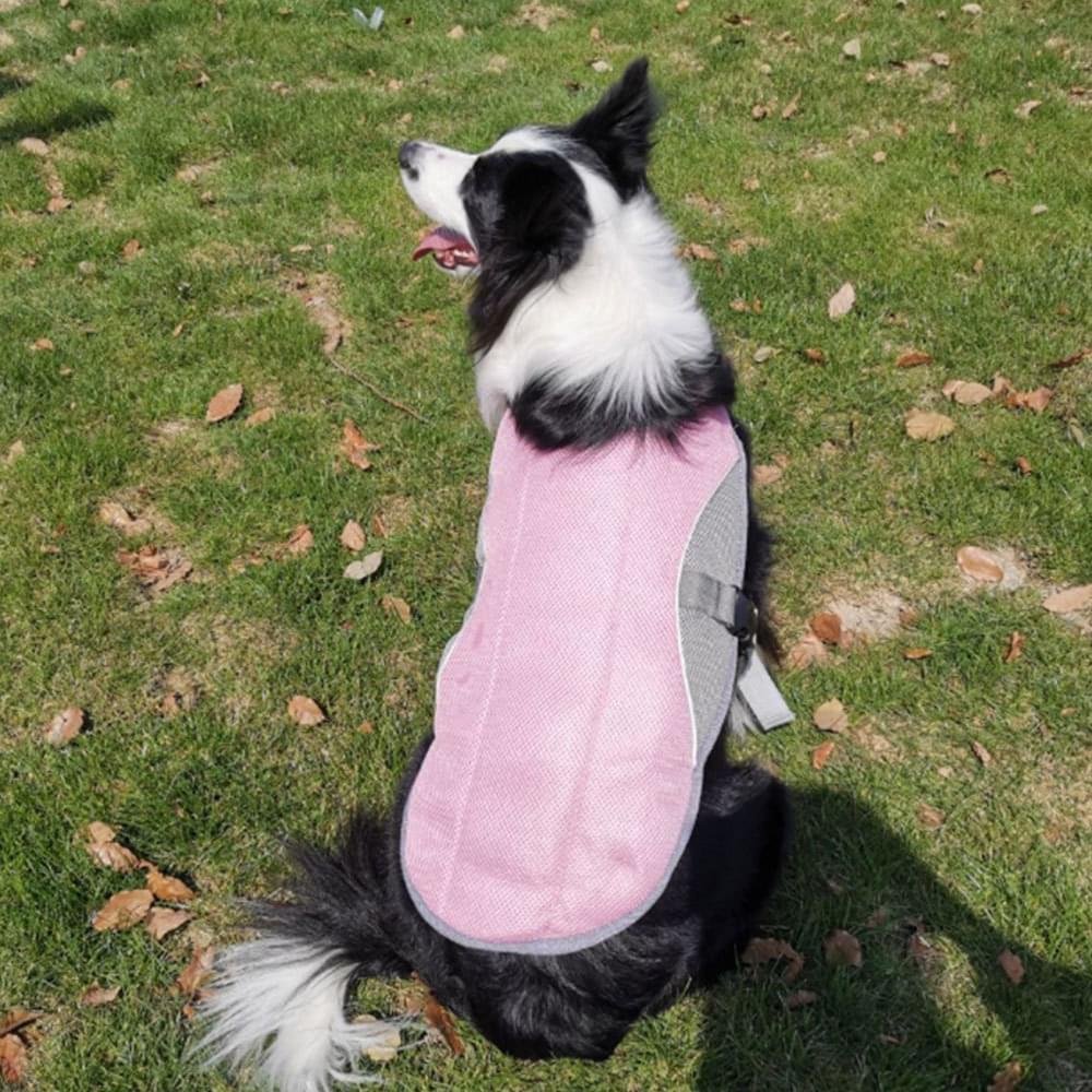 Summer dog cooling vest - Image 3