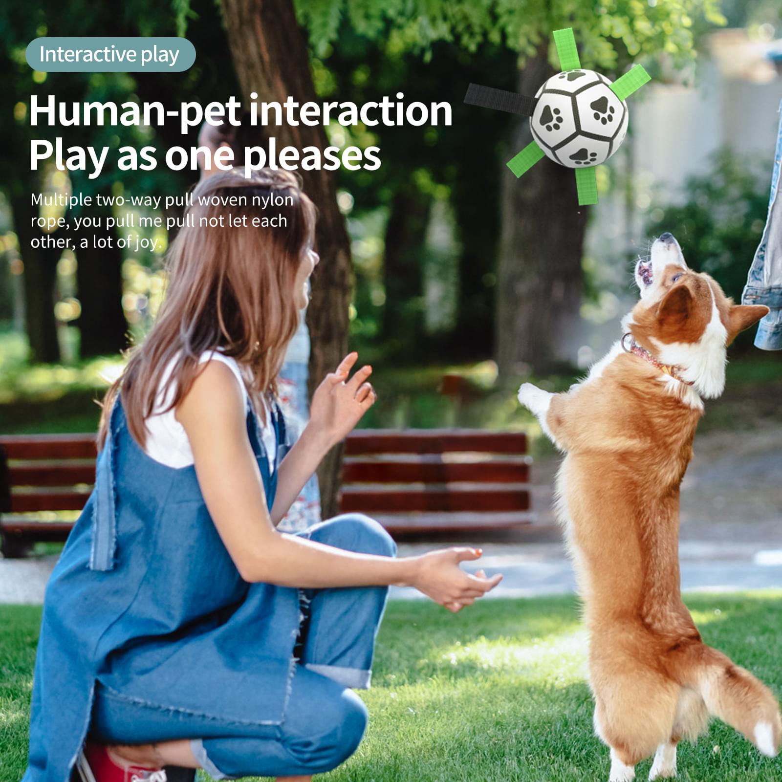 Interactive Dog Football Toy Soccer Ball Inflated Training Toy For Dogs Outdoor Border Collie Balls For Large Dogs Pet Supplies - Image 2