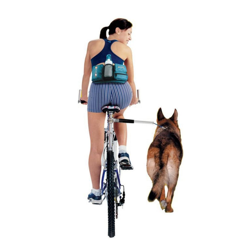 Towing Dog With Bicycle Dog Walker - Image 5