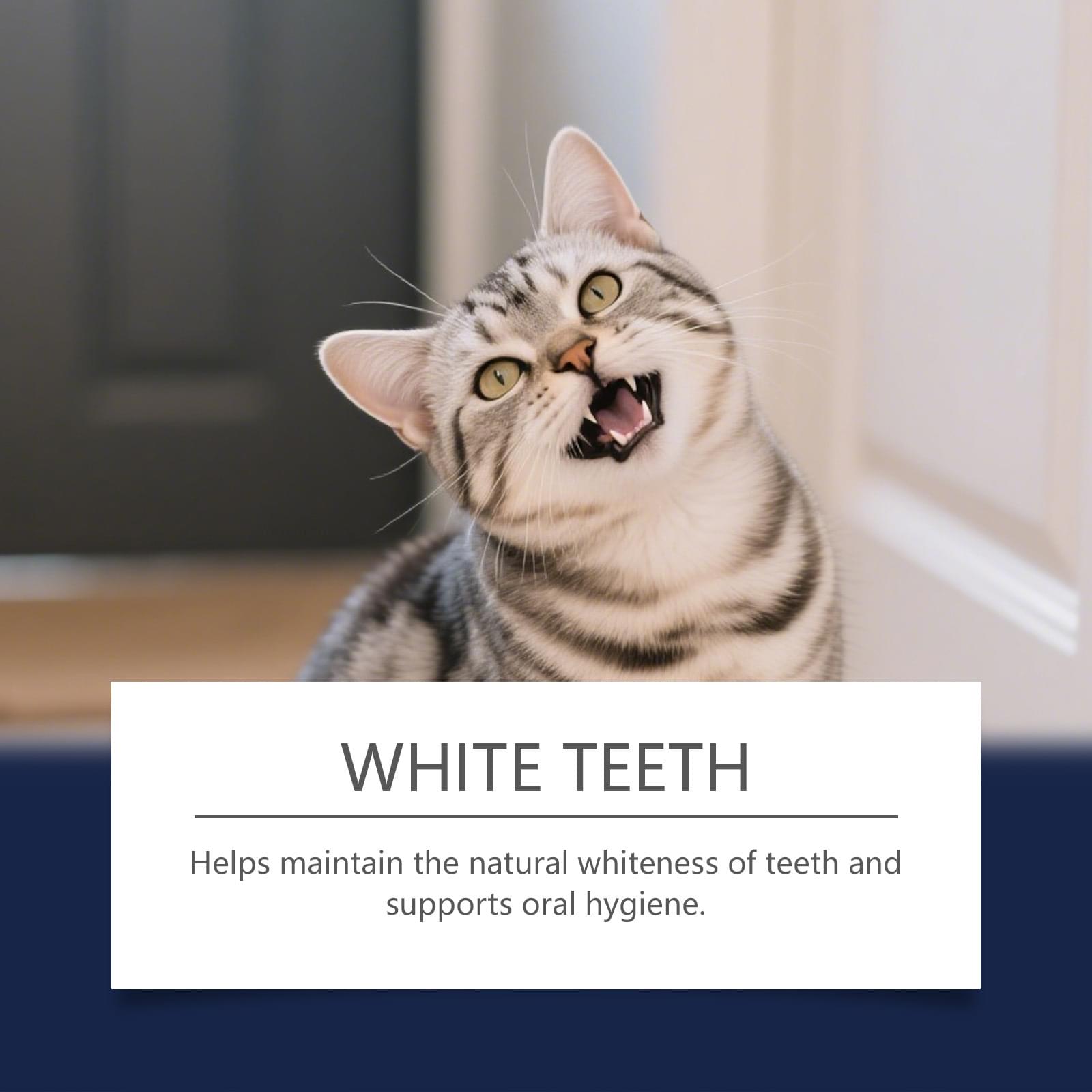 Pet Tooth Cleaning Pen - Image 3