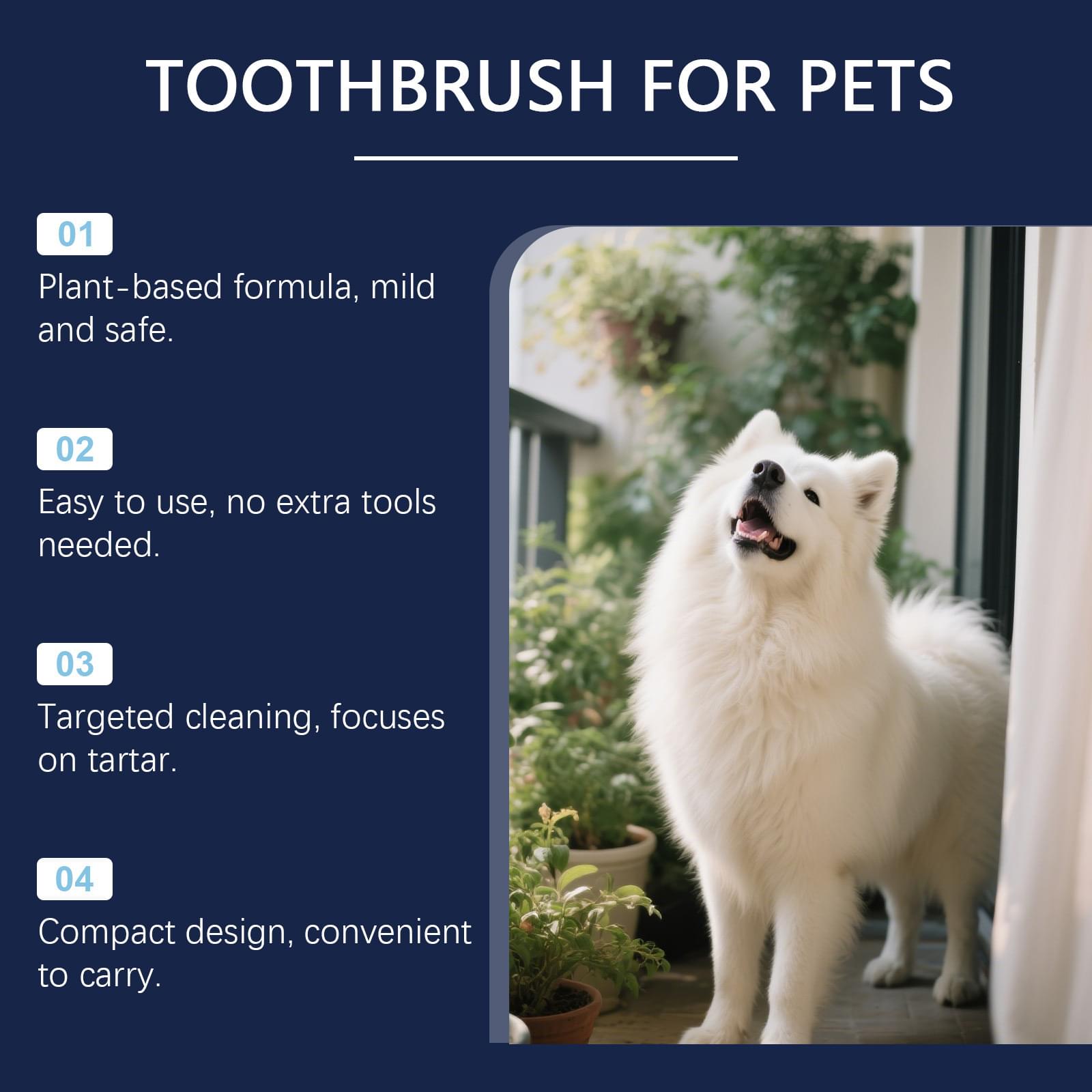 Pet Tooth Cleaning Pen - Image 2